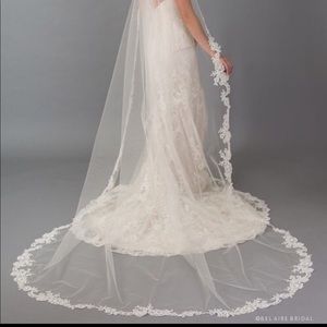 Cathedral lace trimmed veil